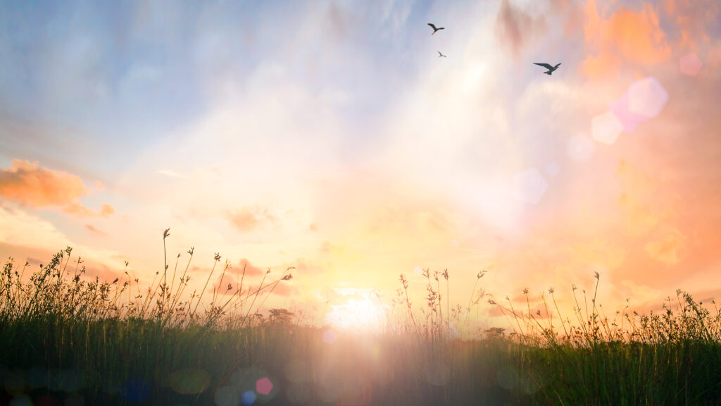 early morning sunrise is the best time for sun exposure