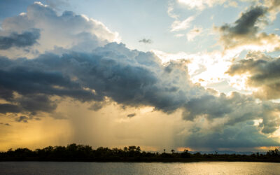 Pain and the Weather: What’s Really Going On When You Hurt More on Rainy Days